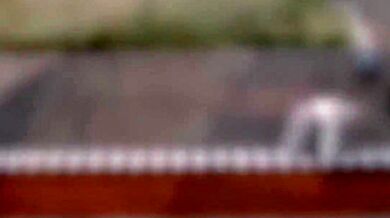 Shemale Cupid Testing Lesbian Couple