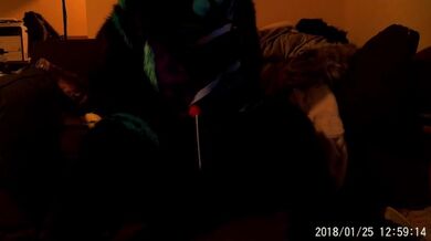 Tempo di gioco del Rex di Dov