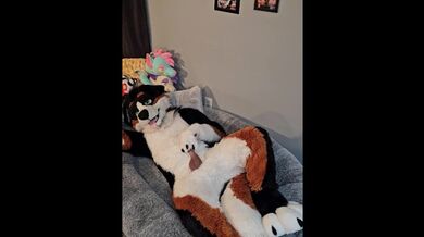 @AngryBarks dell'ufficio del veterinario ti insegna come mungere il tuo fidanzato cucciolo