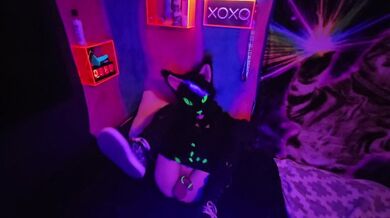 Gatto randagio con le zampe con un nuovo giocattolo