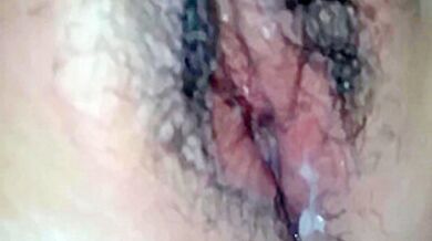 A Neighbors Squirrel Is Trying To Steal A Neighbors Porn