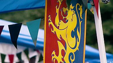 Dante Colle - Sneaky Blowjob From An Enchanted Tgirl Elf