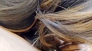 Girlfriend Sucked My Dick - Hd Porn