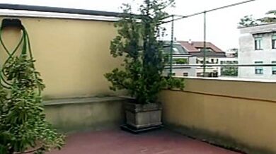 Orgia Trans Italiana