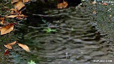 [reducing Mosaic]fsdss-861 Cast(s): Ayami Mori (森あやみ)