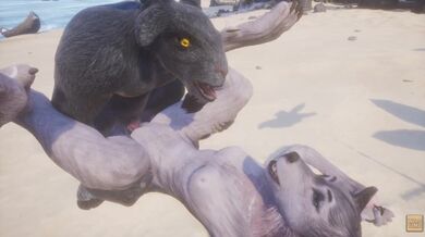 Vita selvaggia / Rasha Ragazza lupo peloso in spiaggia