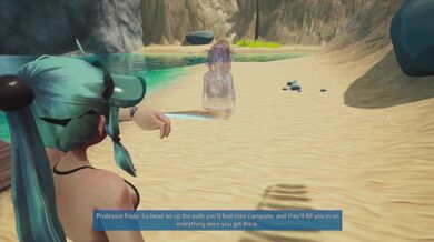 Atterraggio safari con zaffiro sull'isola pelosa