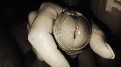 Me lo sono succhiato come un Lecca Lecca Pompino da ASMR