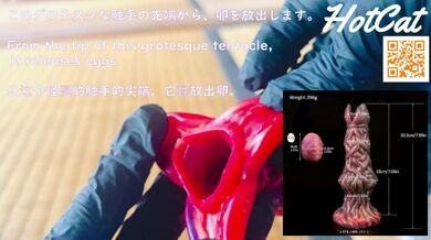 Ho comprato SexToy da TEMU!