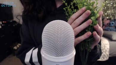 • Fiori decorativi ASMR •