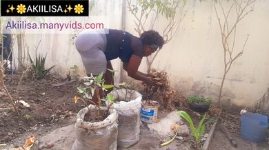 Preparazione dell'orto: l'arte di coltivare