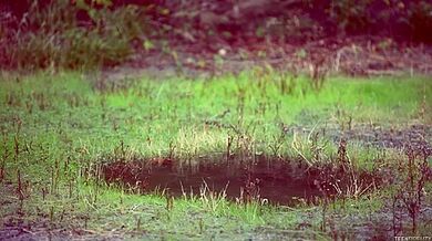 Wet Dreams - Starring: Lilly Banks - PornFidelity