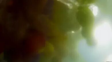 Get My Belt Part ll - Starring: Brooklyn Lee - PornFidelity