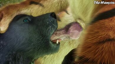 Wild Life 4K - Tiger X Wolf