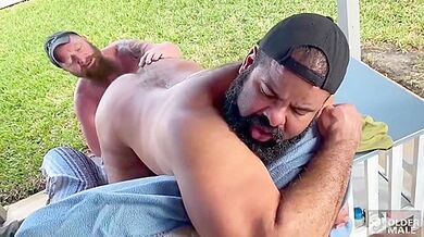 Dalton Hawg And Oscar Bear (dnf )