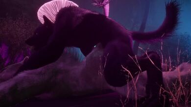 Gay peloso synth amanti | Leone e lupo | Animali selvatici Furry