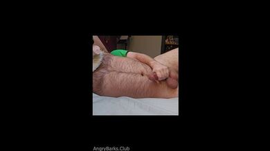 Il tuo coinquilino peloso