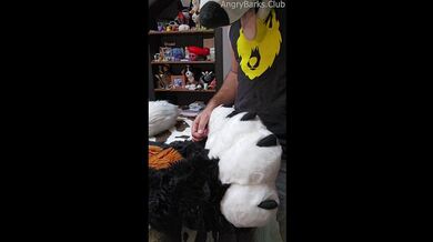 Il fratellastro peloso stuzzica i bordi e spinge Voz oltre il limite