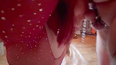 :- Lanista Bear And Allegro