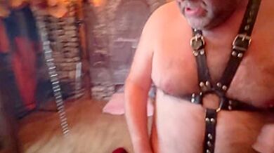 :- Lanista Bear And Allegro