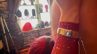 :- Lanista Bear And Allegro