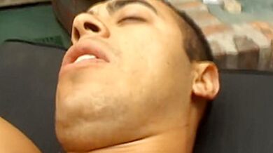 Sultry Shemales In Lingerie