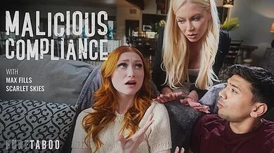 Malicious Compliance