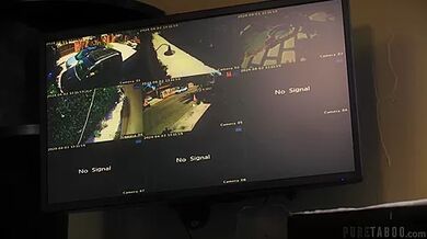 Malicious Compliance