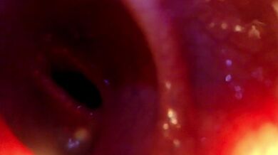 POV: Ti rimbocco dentro e ti tira più in profondità