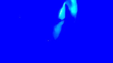 Naughty Sissy Tracing Finger Over Lips Slowly