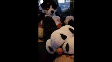 Voz si fa fare un PawJob in macchina dal suo fratellastro peloso arrapato