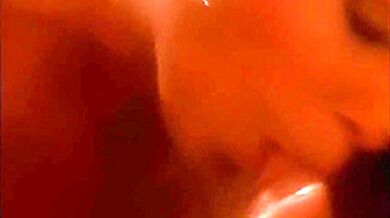 La Vicina Sempre A Pecorina!