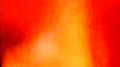 La Vicina Sempre A Pecorina!